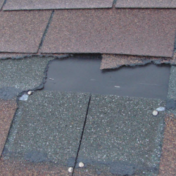 Storm Damage Services
