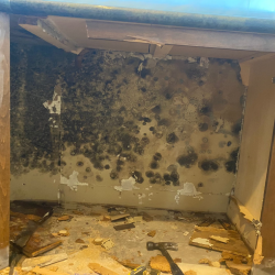 Mold
