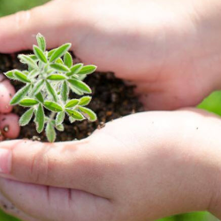 Agribusiness Insurance