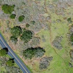 Land