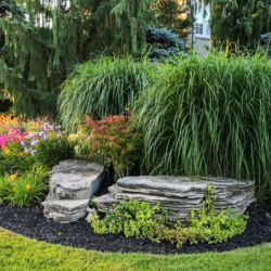 Landscape Construction