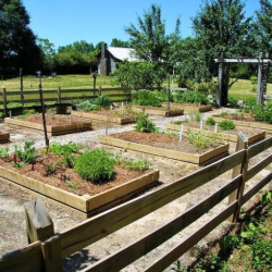 Vegetable & Herb Garden