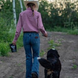 Dog Supplement