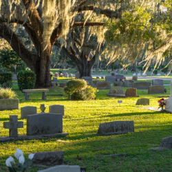 Cemetery