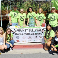 Non-profit Groups