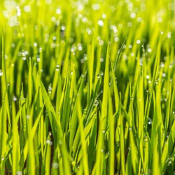 Schedule Appointment