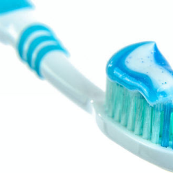 Dental, vision, and more!
