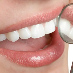 Dental Cleanings  