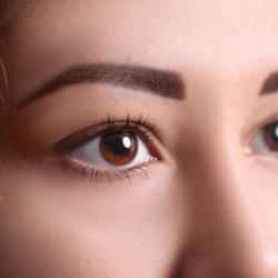 Brow Lamination