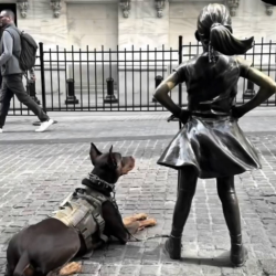 Service Dog Training