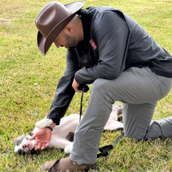 Private Dog Training