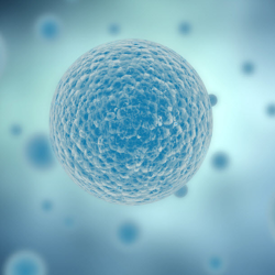 Infection Control/Sterilization
