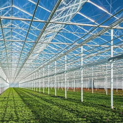 Sustainable