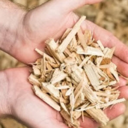 Wood chip feedstock 
