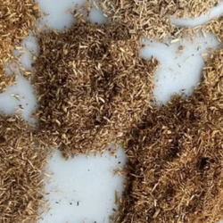 Wood Fiber