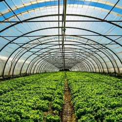 Vertical Farming Installations