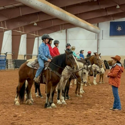 Horse Camp for Kids