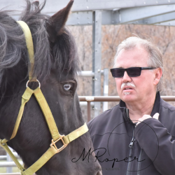 Horses and Heroes