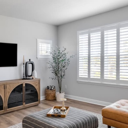 Shutters