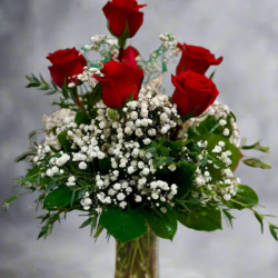 Half Dozen Premium Roses