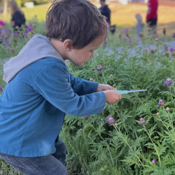 On Farm You-Pick