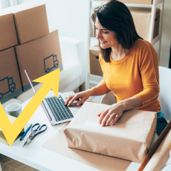 COVID-19 EIDL Loan Summary