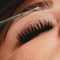 Brow Lamination