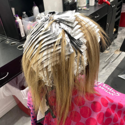 Highlights