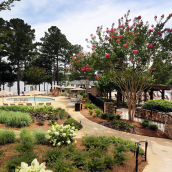 Landscape Maintenance