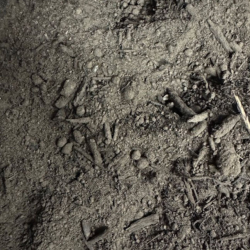 Gardening Soil, Topsoil, Fill Dirt/Fill Sand