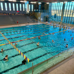 Lap & Recreation Pools