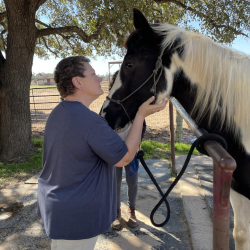 Caregivers Workshops