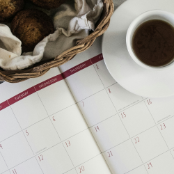 Free 30-Minute Consultation