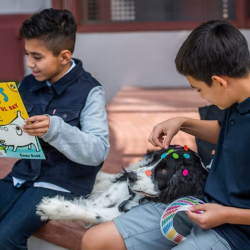 Lapan Pet Therapy Program