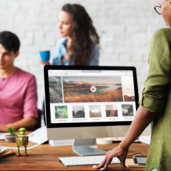 Web Design