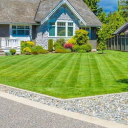 Lawncare - Garden Renovation 