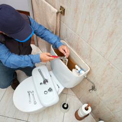 Toilet Repair