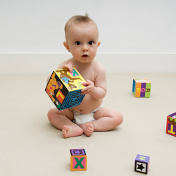 Vendor of North Los Angeles County Regional Center (NLACRC)