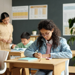 Independent Educational Evaluation (IEE)