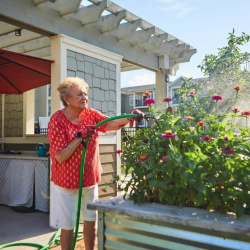 Outdoor Spaces and Paths