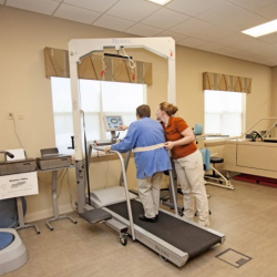 Physical Therapy
