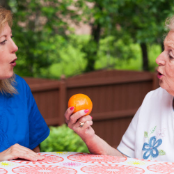 Speech Therapy