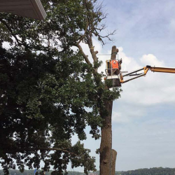 Land & Lot Clearing