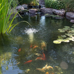 Water Features