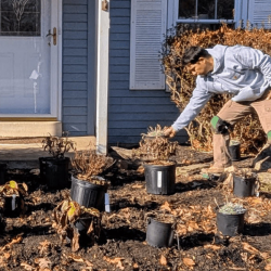 Storm Water Management