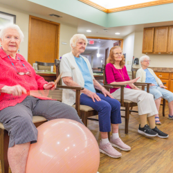 Assisted Living
