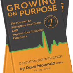 Buy Dave's Book