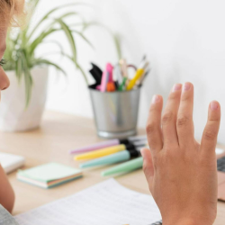 Virtual Charter School