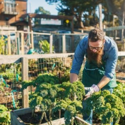 Master Conservationist Program