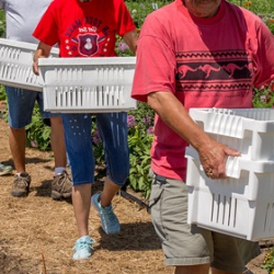 Master Gardener Program